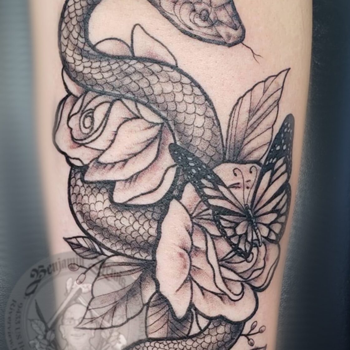 Untitled_Artwork 9 (4)